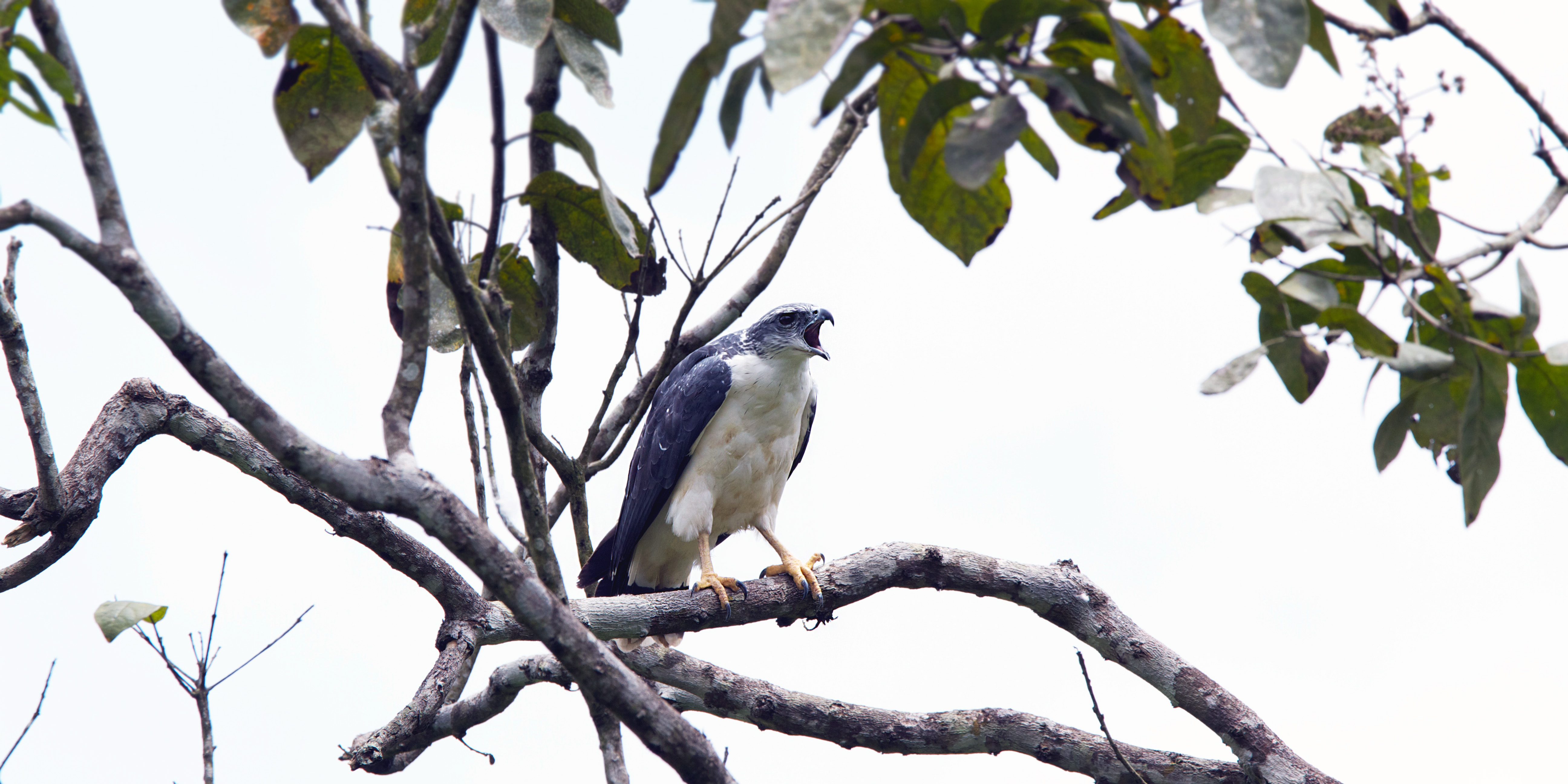 ABOUT LA ESMERALDA RESERVE